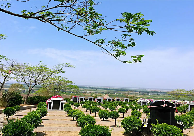 选墓地必看！5大注意事项，轻松搞定！