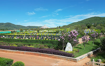 如何挑选理想墓地？九大要点收藏！