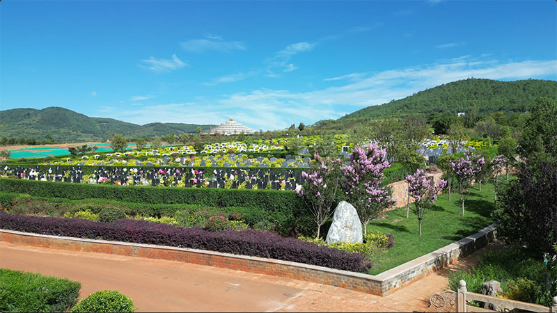 如何挑选理想墓地？九大要点收藏！