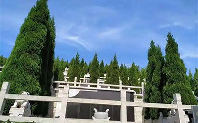 墓地选择：尊重逝者与兼顾环境的考量