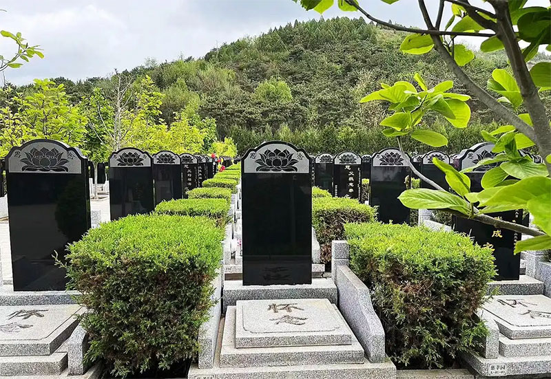 墓地风水小诀窍，带你领略选址奥秘