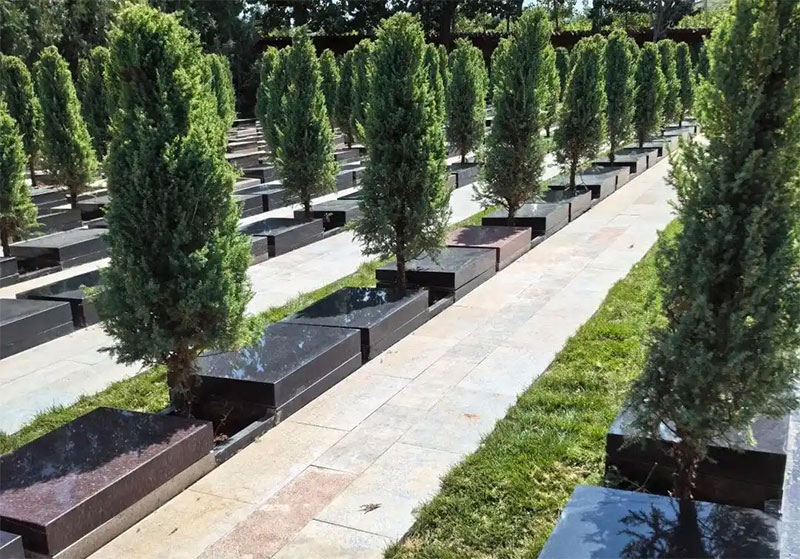 公墓选择全攻略：如何为亲人选择最佳安息之地