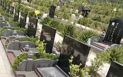 新型选墓方式：代看墓地服务解析