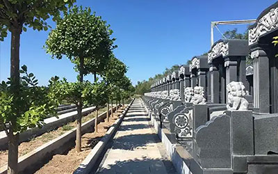 购墓避坑指南：如何找到满意福地