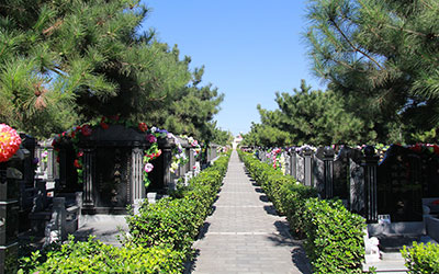 在墓地选择中，如何挑选合适的编号呢？墓地编号有什么说法？