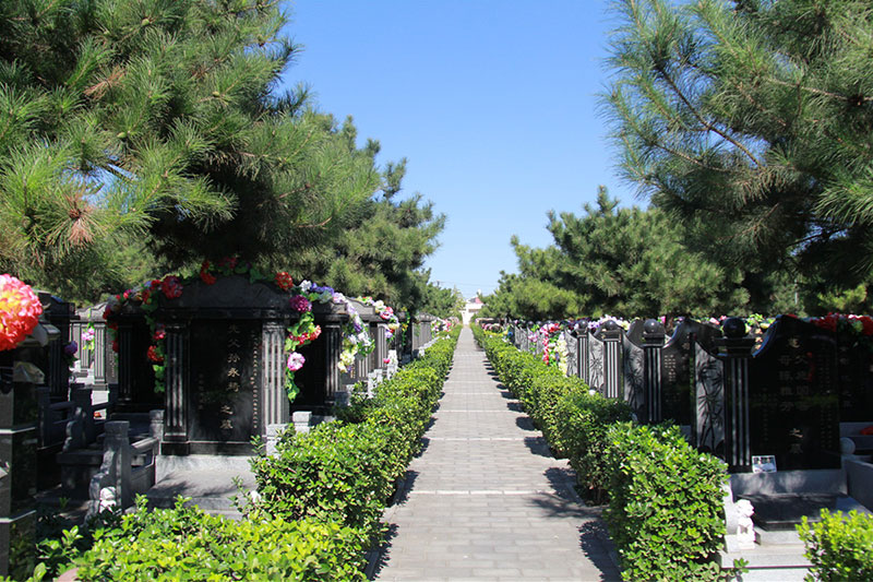 在墓地选择中，如何挑选合适的编号呢？墓地编号有什么说法