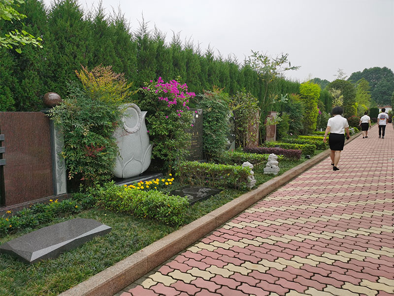 买墓地必看！30条技巧与禁忌