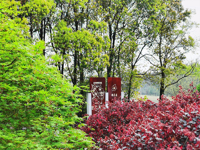 昆明购买墓地还有其他费用吗？昆明陵园管理费怎么算？