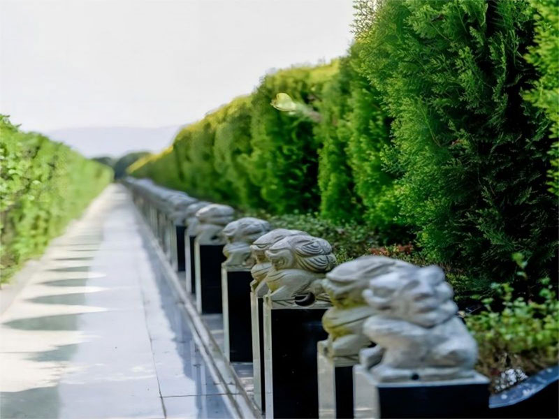 如何区分昆明陵园山水的好坏