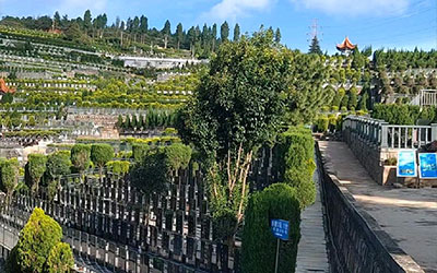 在昆明提前购买墓地需要办理哪些手续？