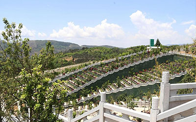 购买昆明墓地要签合同书吗？