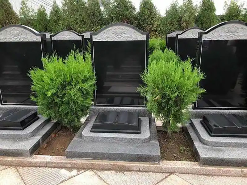 选择墓地哪个方向比较好