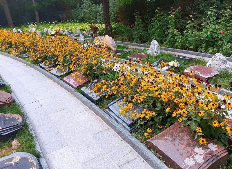 在昆明，哪种类型的墓地花钱比较少