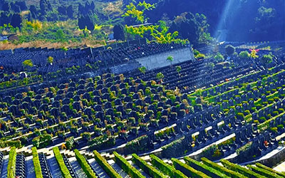 在昆明墓地里如何选择墓位号?