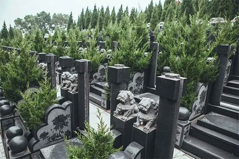 一分钟快速学会如何选墓