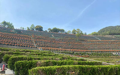 昆明墓园里选墓需要看哪些？