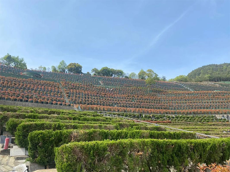 昆明墓园里选墓需要看哪些