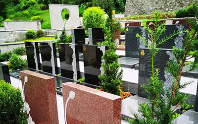 墓地选址时，如何考虑风水学的因素？