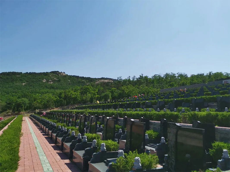 买墓地要注意什么