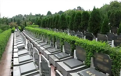 选公墓？这些你必须知道！