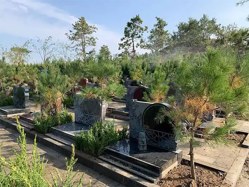 买墓地必看！29条技巧&禁忌