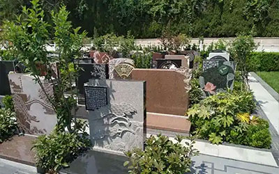 选墓地必看！6大要点让你不踩坑