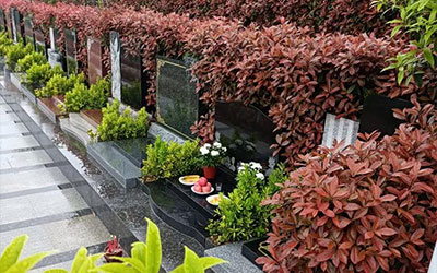 选墓地必看：5招避坑，省心又省钱！