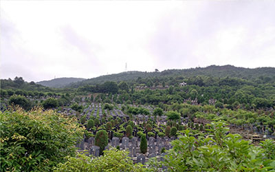 公墓挑选避坑指南，这四点必须关注！