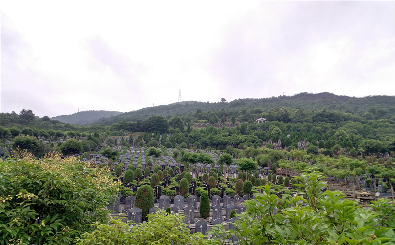 公墓挑选避坑指南，这四点必须关注