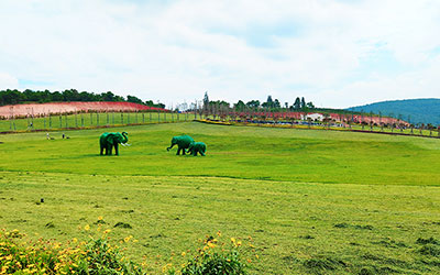 公墓风水：如何选择理想的墓地