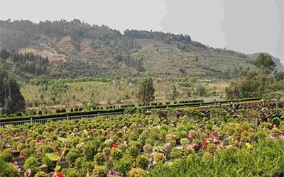 昆明公墓和陵园地址与价格一览表