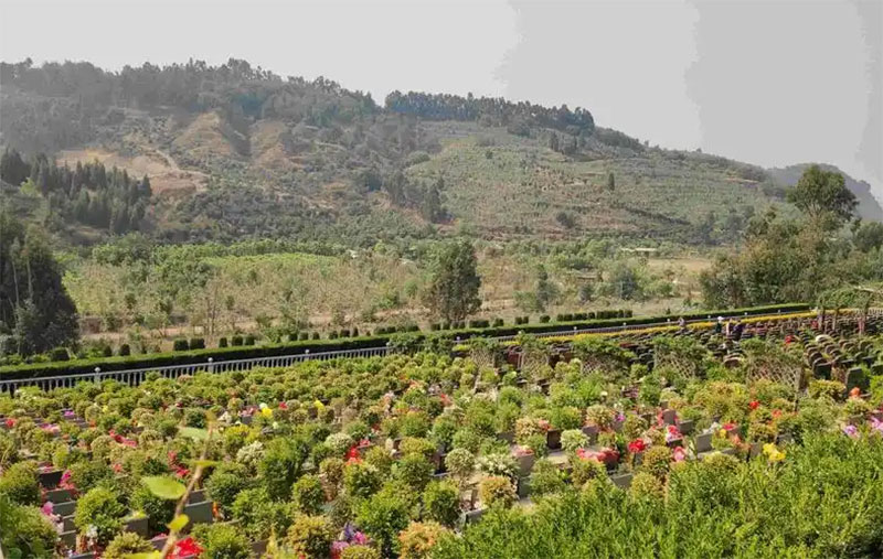 昆明公墓和陵园地址与价格一览表