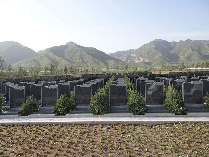 公墓选墓位的关键禁忌及风水考量