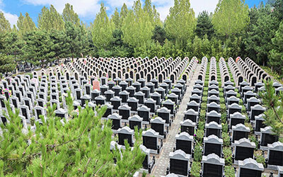 老人去世到底要不要买公墓，这些事情搞明白，就知道该如何选择了