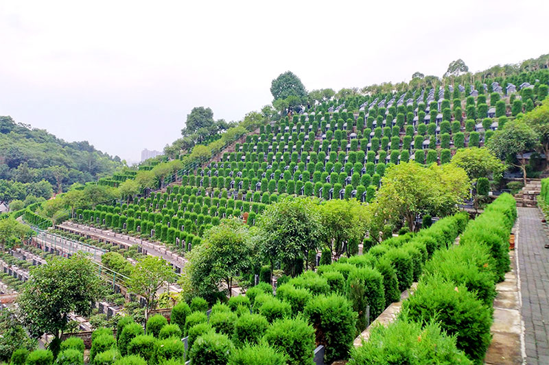 探索墓地风水：大富大贵之地的奥秘