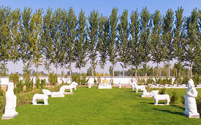 城市公墓风水选址的秘密和技巧