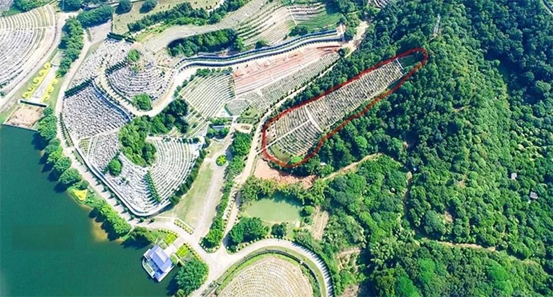 公墓风水指南：让后代安息的智慧