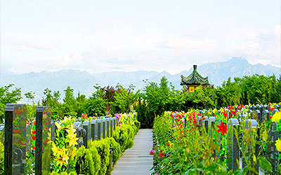 公墓风水选择：让后人受益的六大要点