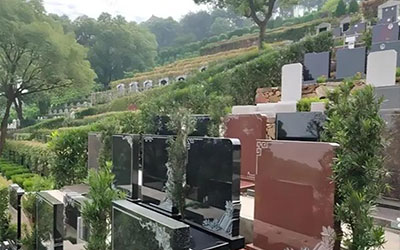 墓地那些你不知道的事，涨知识了！