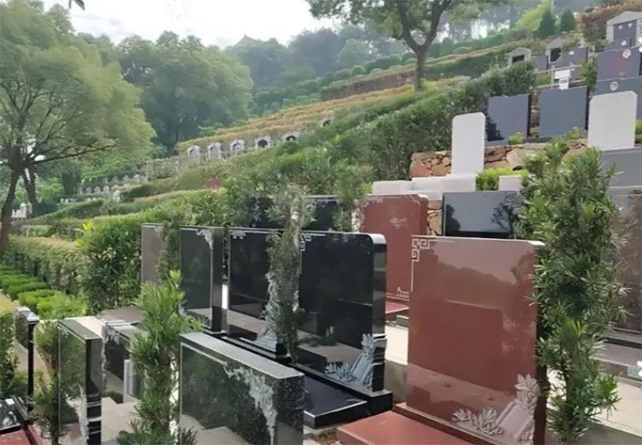 墓地那些你不知道的事，涨知识了