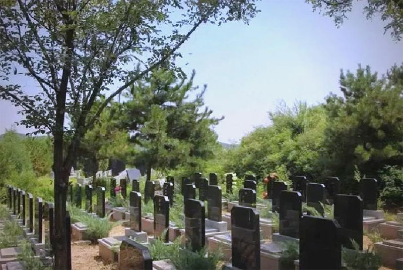 公墓选择指南：你知道多少