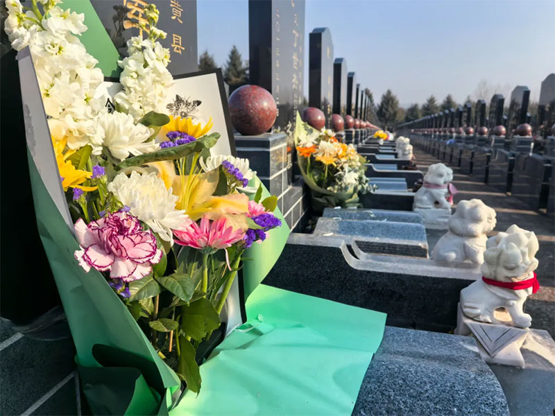 墓地怎么选？有哪些要素？