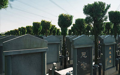 公墓选什么位置好？5个实用标准，让选择更安心