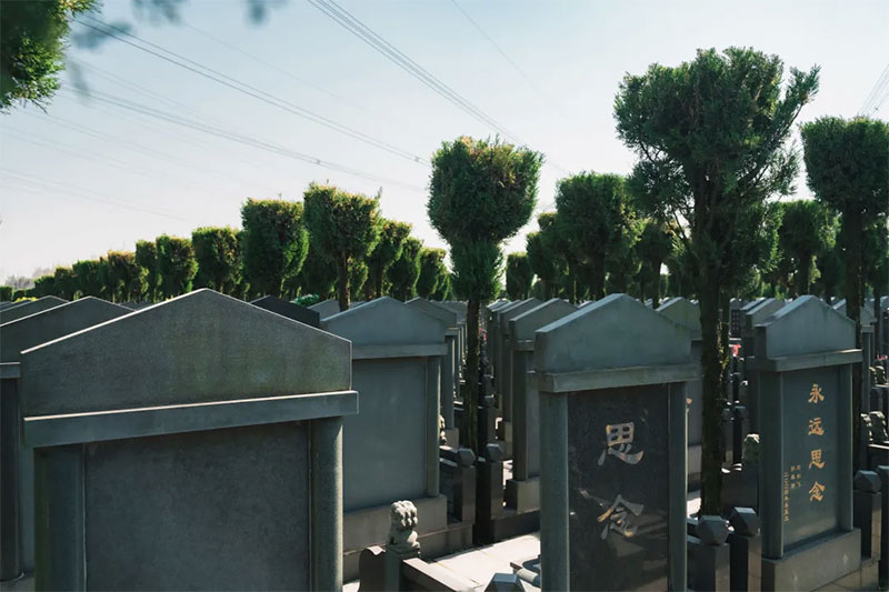 公墓选什么位置好？5个实用标准，让选择更安心