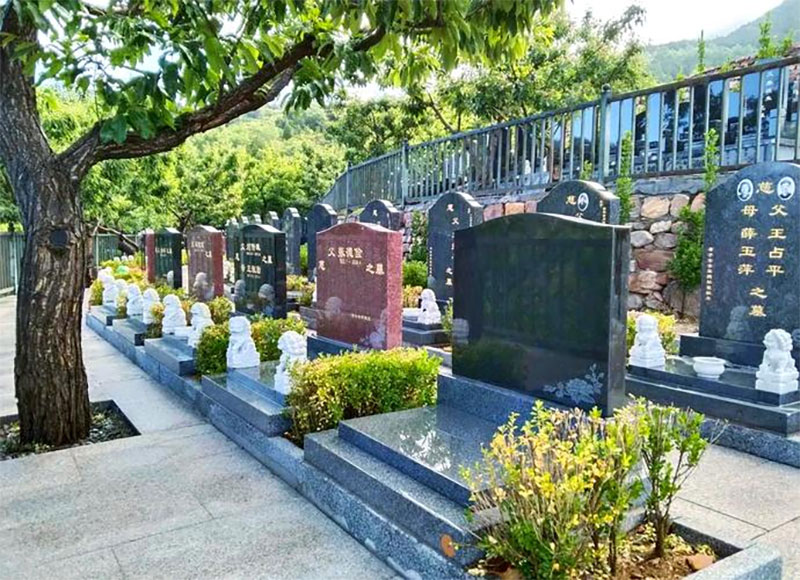 如何智慧地选择墓地：避开八大陷阱的实用指南