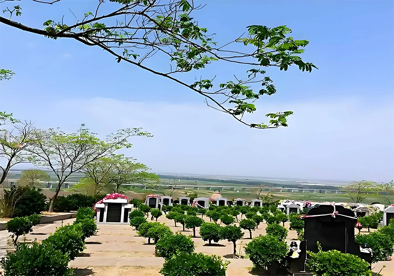 学会这四原则五看，选墓地不再是难事