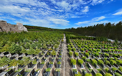 公墓选择攻略-教您如何寻找适合的墓地