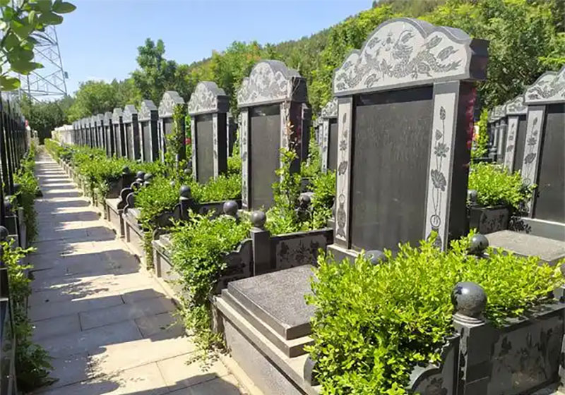 风水大师, 墓地选址秘籍, 墓地风水指导