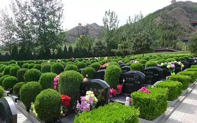 陵园和公墓有什么区别