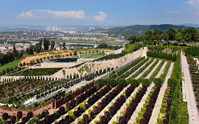 墓地产权是多少年?云南公墓陵园的使用期限究竟是多久?